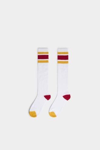 Chaussettes hautes D2 College