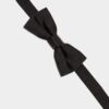 Nœud papillon D2 Classic Nœud papillon D2 Classic